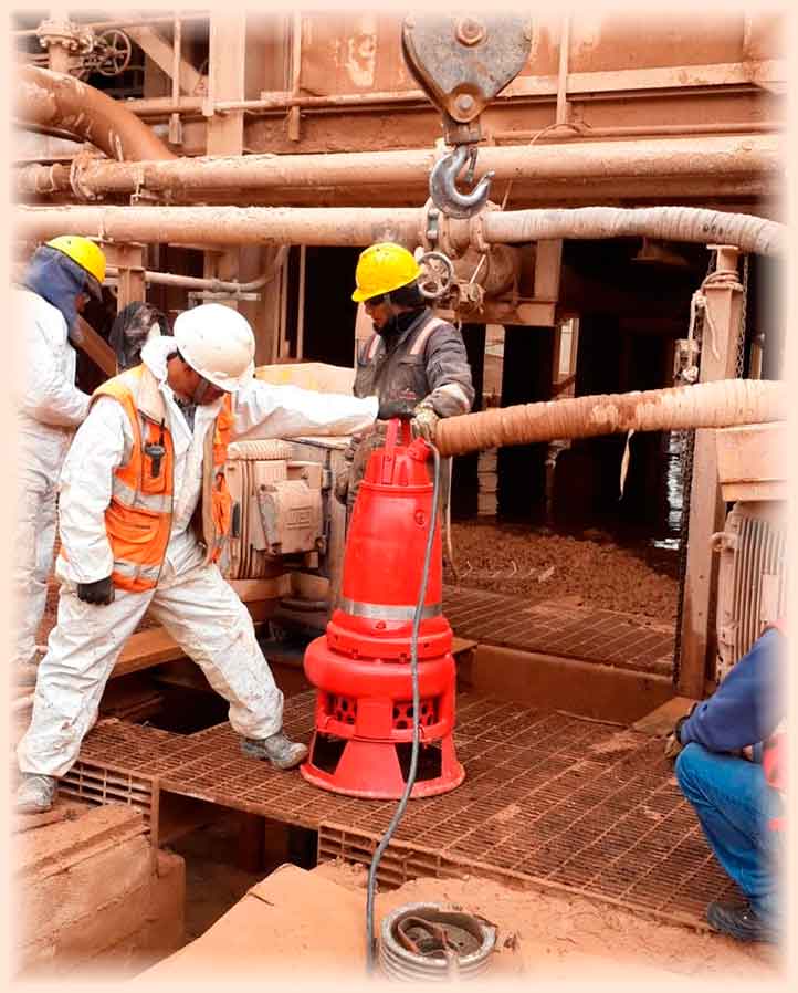 Servicio Técnico Especializado